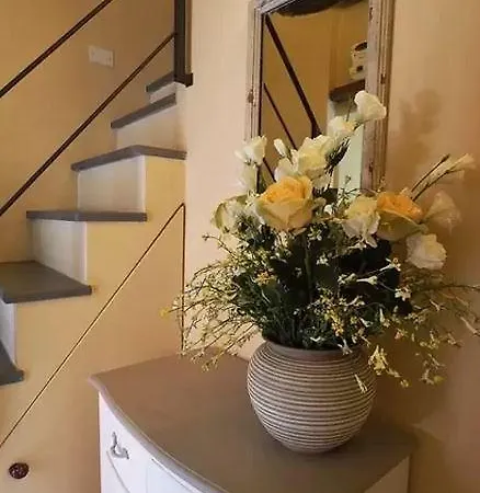 Ricky ゲストハウス